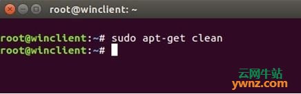 清理不必要的Ubuntu磁盘空间占用