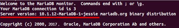 Debian安装MariaDB10.1数据库服务器