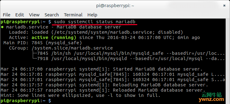 树莓派Raspbian Jessie源码编译安装MariaDB数据库服务器