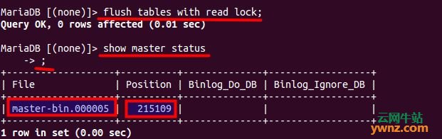 Debian服务器设置MariaDB数据库主从复制(Master-Slave)