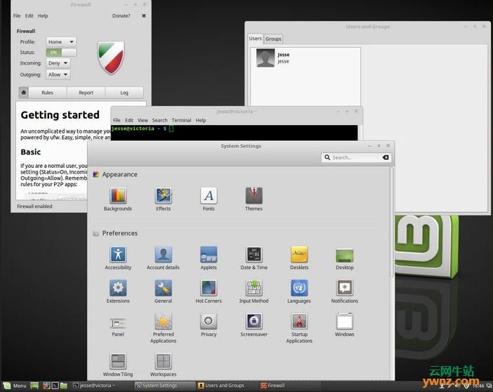 Linux Mint桌面预览图