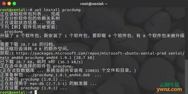 在Linux系统中安装使用ProcDump for Linux