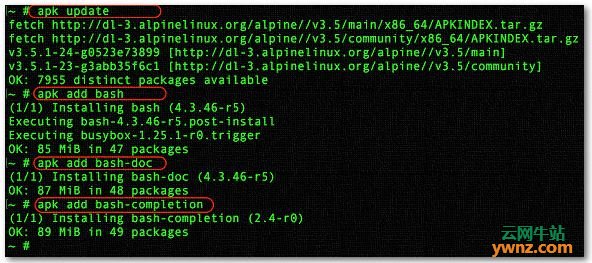 在Alpine Linux中安装bash shell