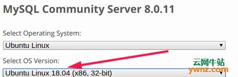 Ubuntu18.04安装MySQL8.0解决root用户密码登录不成功