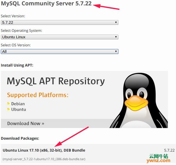 Ubuntu18.04安装MySQL8.0解决root用户密码登录不成功