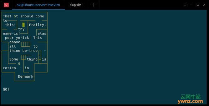 PacVim：一个学习vim命令的命令行游戏，Ubuntu 18.04下完美运行