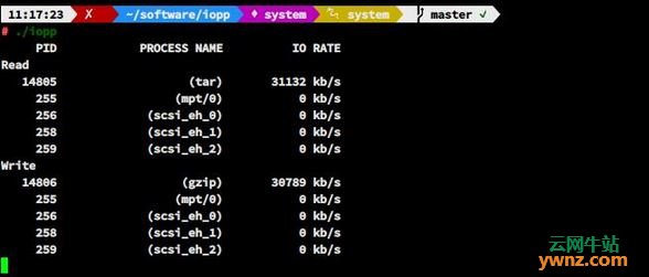 Linux下查看进程IO工具：iopp