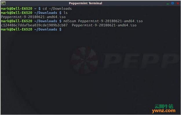 Peppermint 9正式发布下载，基于Ubuntu 18.04 LTS