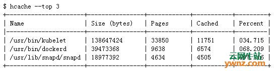 推荐两款实用工具：hcache与SQLPad