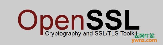 OpenSSL 1.1.1版本发布下载，增加TLS v1.3支持