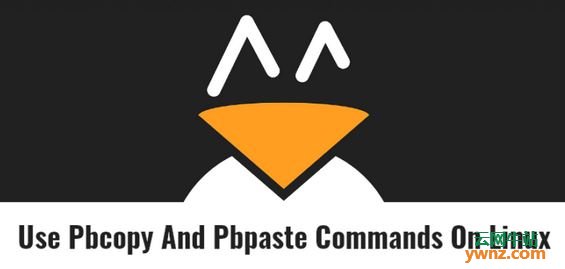 在Linux中运行Mac OS的pbcopy和pbpaste命令