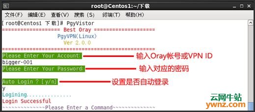 蒲公英VPN客户端 for Linux（路由器软件），附安装教程
