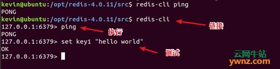 在Ubuntu 18.04系统中安装配置Redis 4.0.11数据库