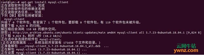 以图解的方式在Ubuntu 18.04.1中安装mysql数据库