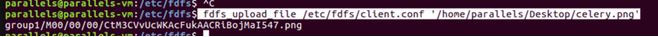 在Ubuntu系统中搭建FastDFS+Nginx图片服务器的步骤