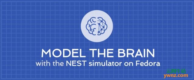 在Fedora系统中安装NEST模拟器为大脑建模