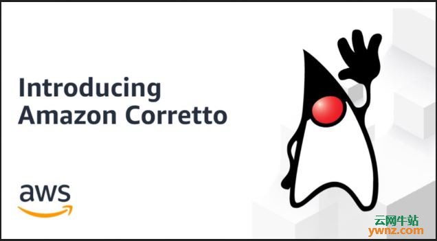 Corretto能作为Java SE发行版的免费替代品，附相关介绍