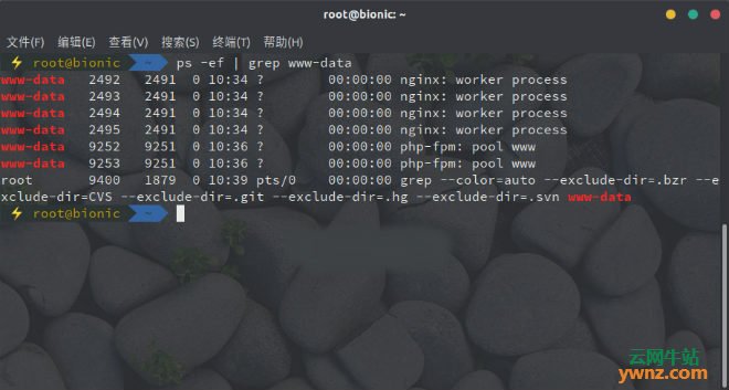 在Linux系统下使用grep命令搜索文件的详细用法