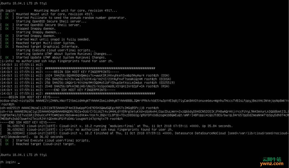 Ubuntu-18.04.1-live-server-amd64.iso安装全过程