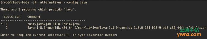 在RHEL 8系统上安装Java 11（OpenJDK 11）的方法