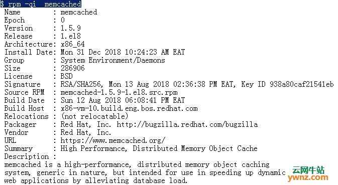 在RHEL 8系统中安装和配置Memcached
