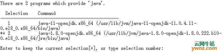 在CentOS 8上安装Java 11(OpenJDK 11)和Java 8(OpenJDK 8)的方法