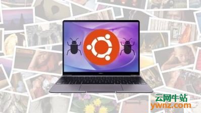 Ubuntu 19.10系统错误：与其他人共享您的媒体文件夹，不会发出警告