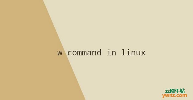 在Linux系统中使用w命令及w命令选项实例