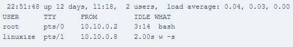 在Linux系统中使用w命令及w命令选项实例
