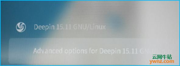 在Deepin 15.11 stable系统中安装/升级Linux 5.4.2内核的方法