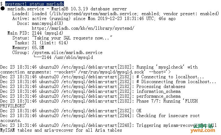 在Ubuntu 20.04（Focal Fossa）上安装MariaDB Server的方法