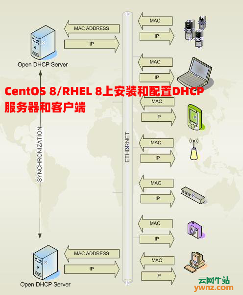 在CentOS 8/RHEL 8上安装和配置DHCP服务器和客户端