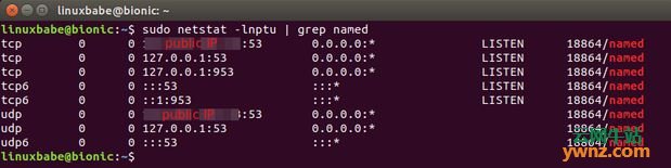 使用BIND9在Ubuntu 18.04上设置本地DNS解析器