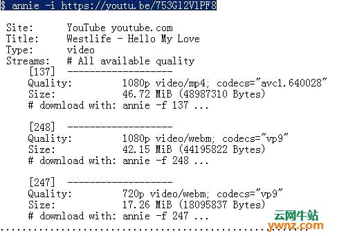 在Linux系统中的YouTube视频下载器：Annie安装与使用