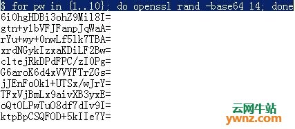 在Linux系统终端中生成随机强密码的方法