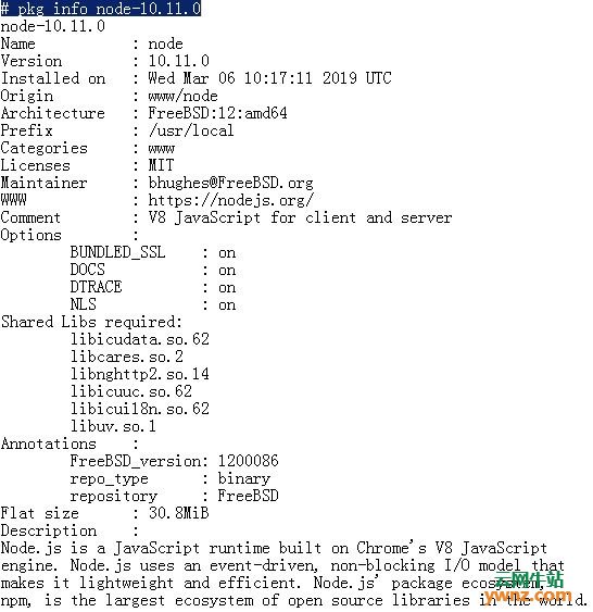 给在Linux虚拟机里运行的FreeBSD 12安装Node.js 10 LTS和NPM