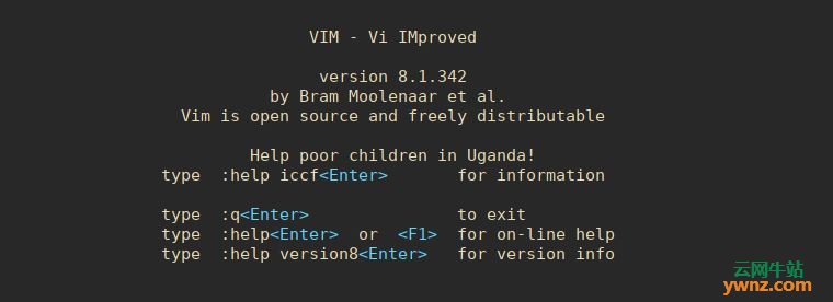 给在Linux虚拟机里运行的FreeBSD 12安装VIM Text Editor
