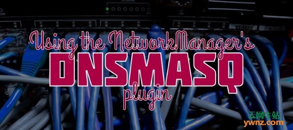 在Fedora 29中使用NetworkManager的DNSMasq插件