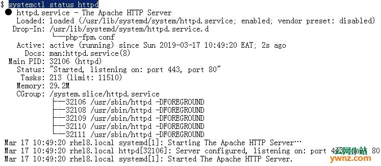 在RHEL 8/CentOS 8服务器上安装和配置Cacti的步骤