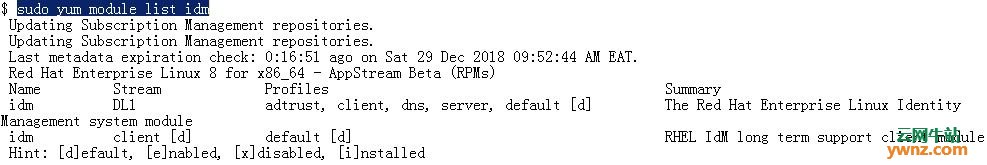 在RHEL/CentOS 8上安装和配置FreeIPA Server的方法