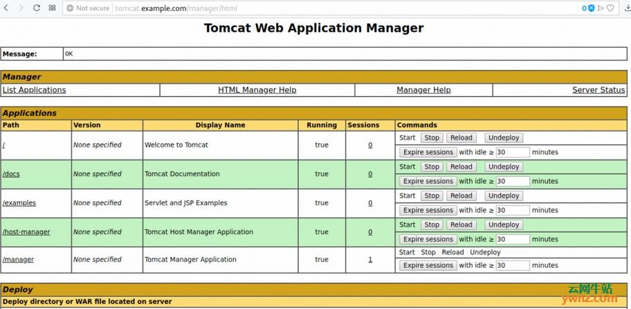 在RHEL/CentOS 8上安装Apache Tomcat 9的方法