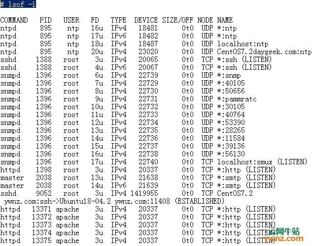 检查Linux中的开放端口列表：使用netstat、nmap、ss、lsof命令