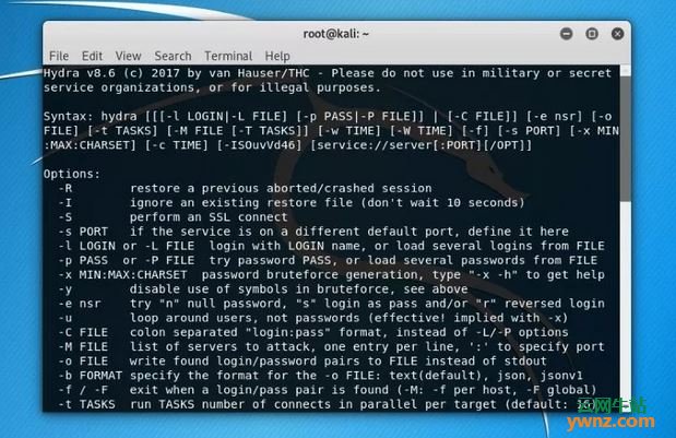 在Kali Linux系统中运行程序的截图