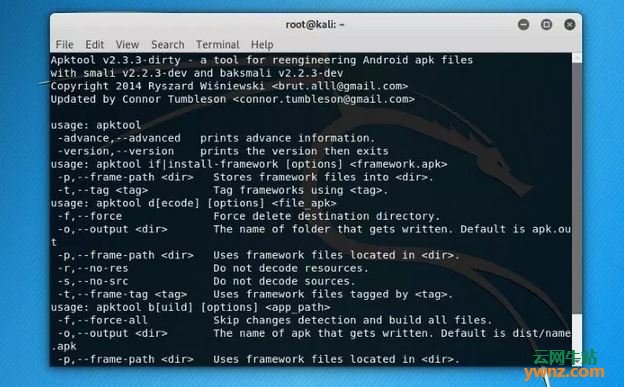 在Kali Linux系统中运行程序的截图