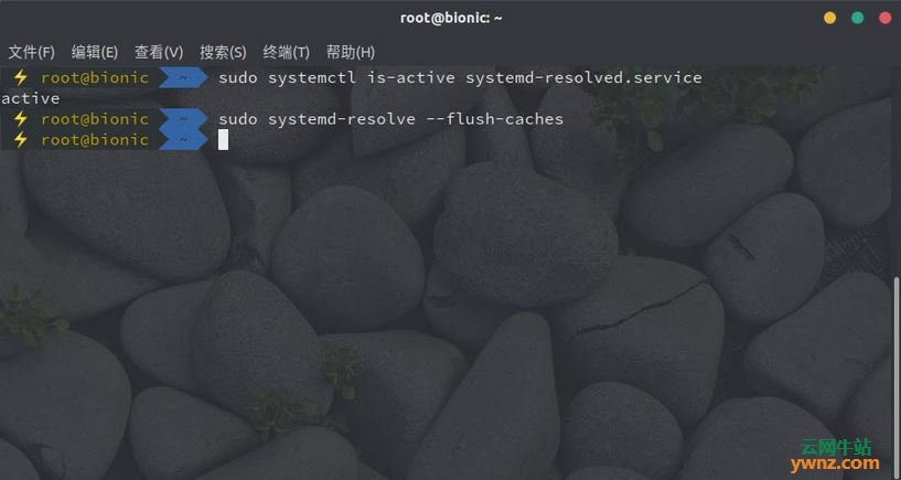 在Ubuntu 18.04下刷新/删除DNS缓存，附删除浏览器DNS缓存的方法