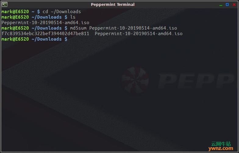 Peppermint OS 10发布下载，基于Ubuntu 18.04且使用Linux 4.18内核