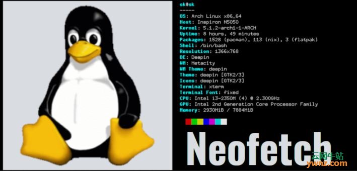 在主流Linux系统上安装Neofetch并使用它在终端中显示系统信息