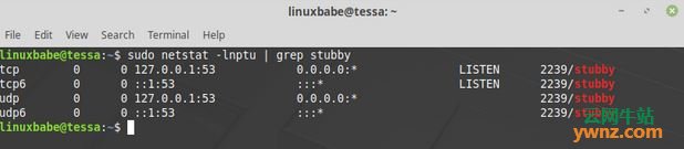 在Linux Mint上使用Stubby配置DNS over TLS以保护DNS隐私