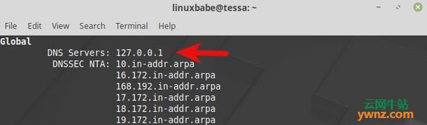 在Linux Mint上使用Stubby配置DNS over TLS以保护DNS隐私