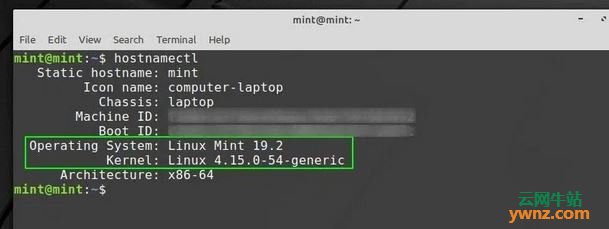 检查Linux Mint 19系统版本号和代号的方法